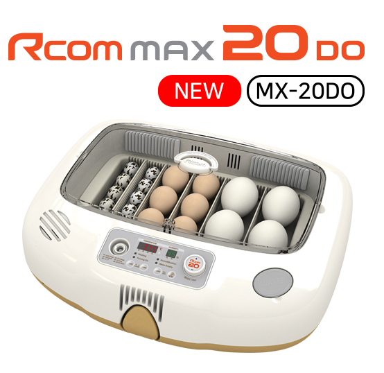 Incubadora 20 huevos de gallina Rcom Max 20 DO (Corea del Sur)