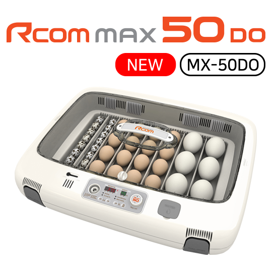 Incubadora 50 huevos de gallina Rcom Max 50 DO (Corea del Sur)